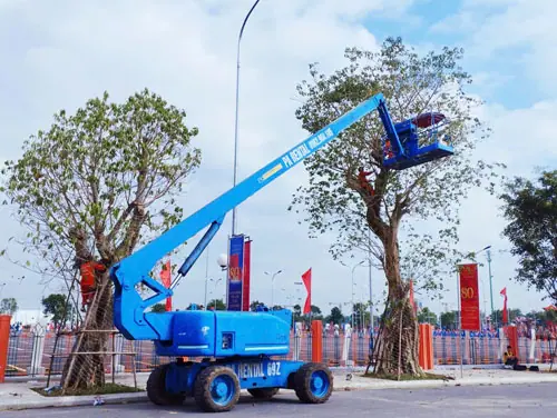 Dự án cho thuê xe nâng tại Sóc Sơn